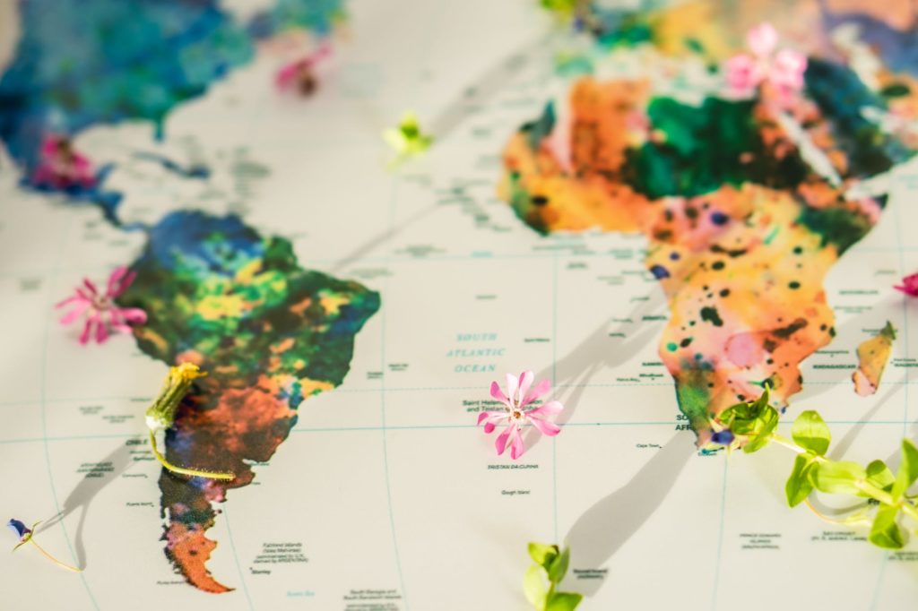close up shot of a map with small pieces of flowers